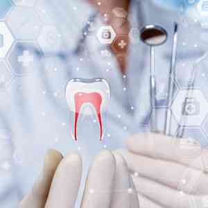 wide range of dental services