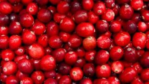 Top 10 Foods for Strong and Healthy Teeth Supporting Oral Health Naturally -Cranberries