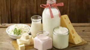 Top 10 Foods for Strong and Healthy Teeth Supporting Oral Health Naturally - Dairy Products