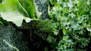 Top 10 Foods for Strong and Healthy Teeth Supporting Oral Health Naturally - Leafy Greens